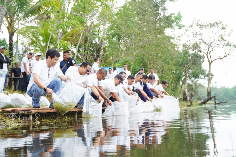 Bibit Ikan